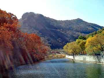 澳门天天彩期期精准平肖，皇岗口岸去迪士尼